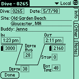 dive_log.gif (1687 Byte)